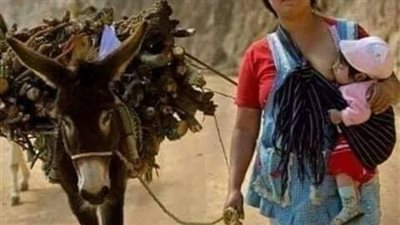 قصه امراء تبر@عت بعينها لزوجها