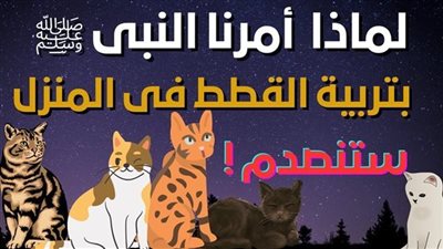 لماذا ډم ينهانا النبيﷺ بتربية القطط في المنزل ؟ولماذا كان يحبها النبي؟ وماذا تفعل القطط في البيت ؟