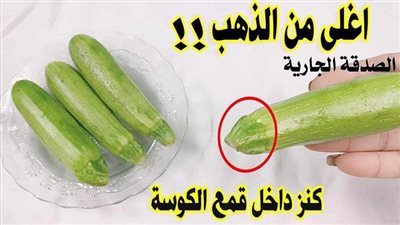 كنز فى بيتك داخل اقماع الكوسا واغلى من الذهب